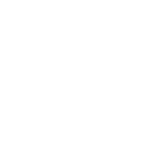 Smartphone Icon